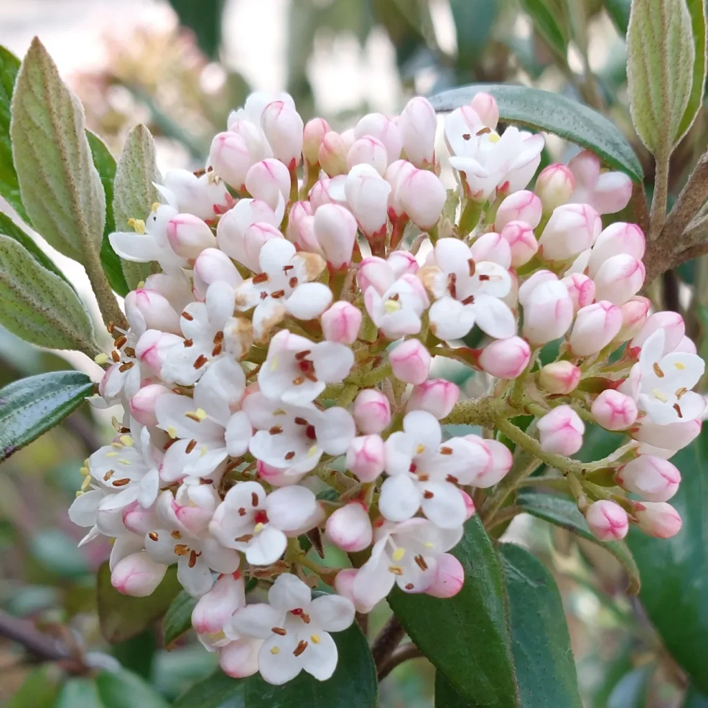 IMG_20220422_200546_965