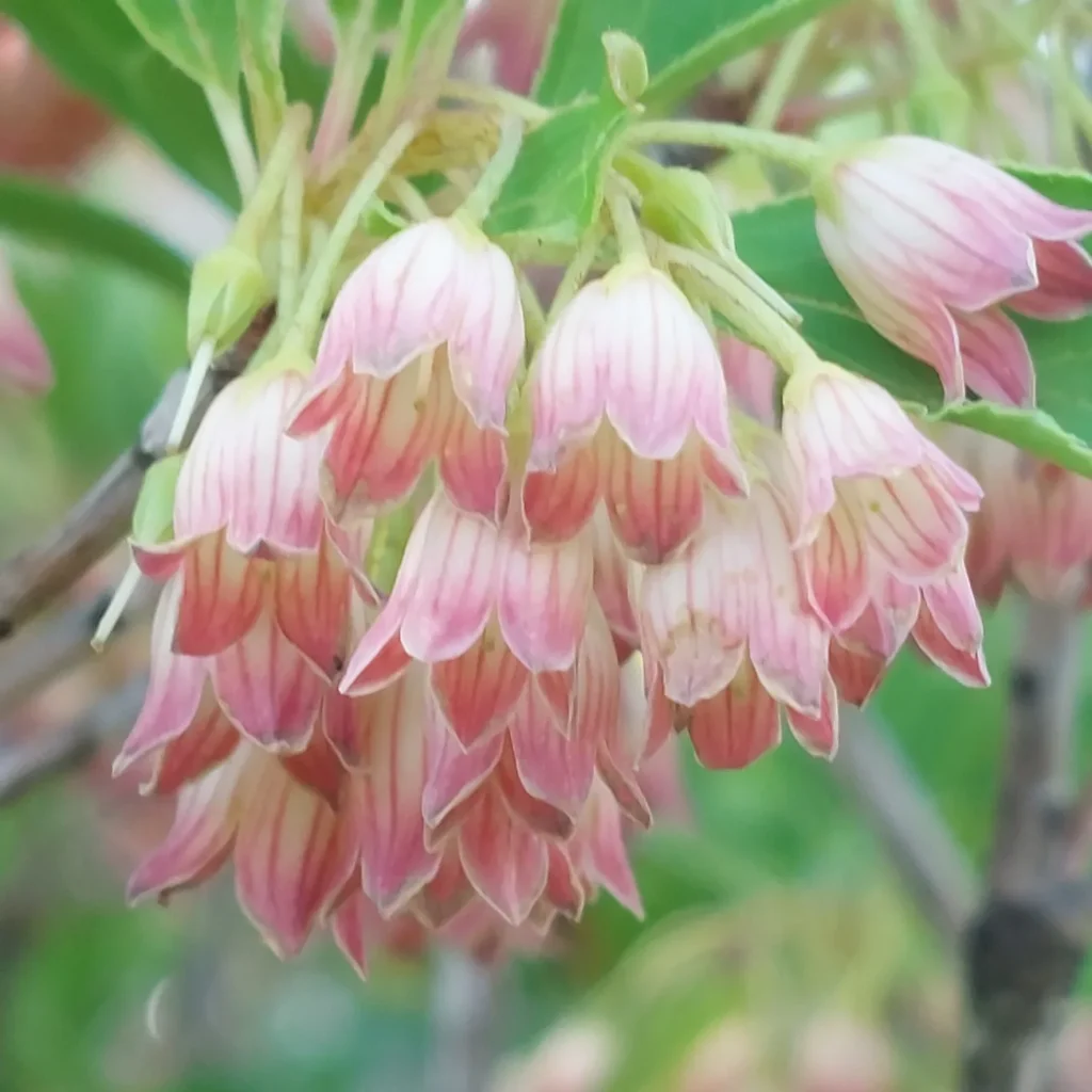 IMG_20220601_212405_135