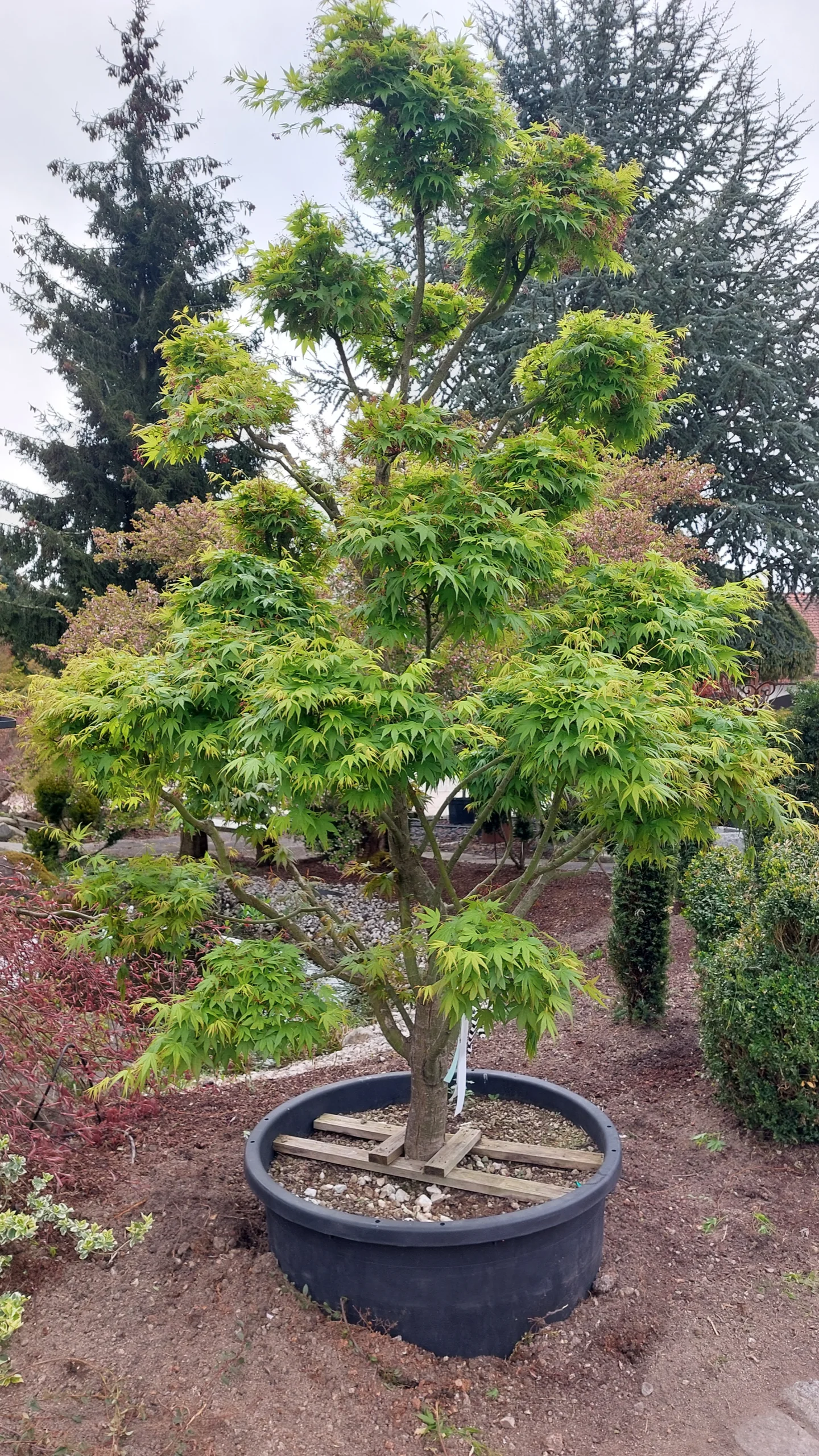 IMG_20250417_135804_717