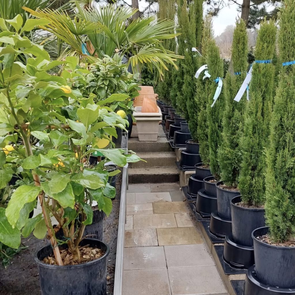 Screenshot_20250725_104749_Instagram