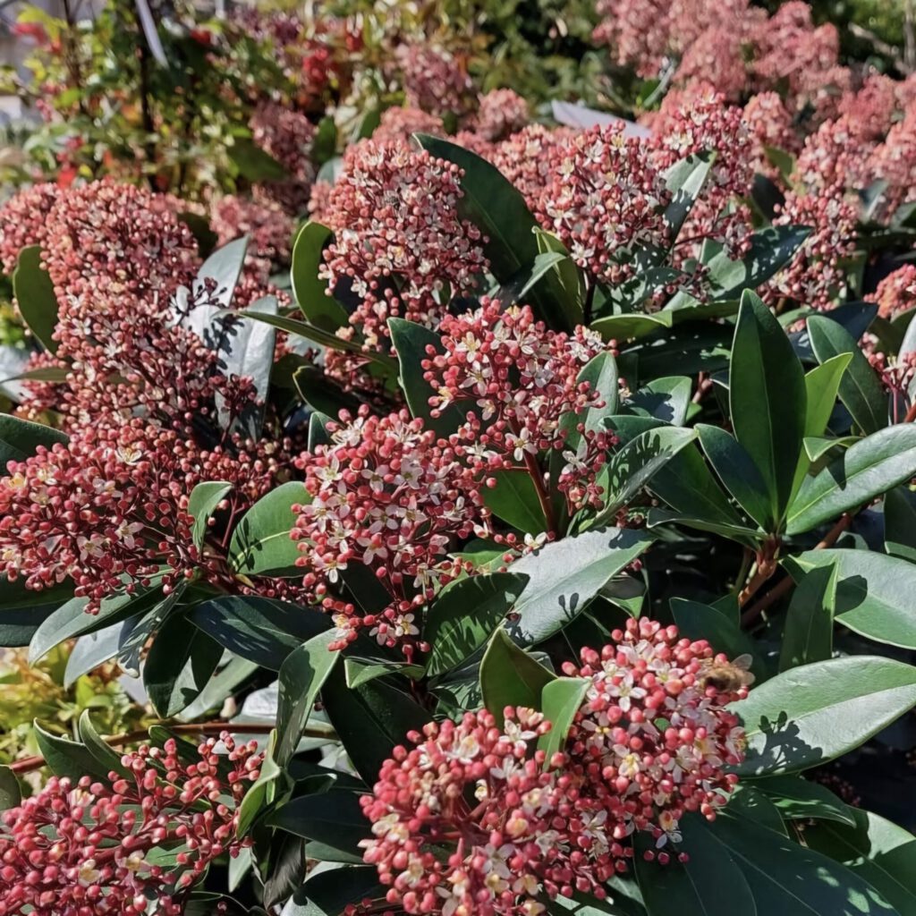 Screenshot_20250725_104835_Instagram