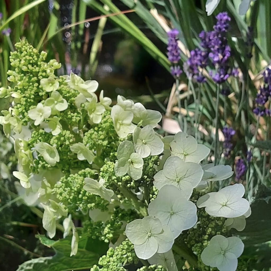 Screenshot_20250725_105527_Instagram