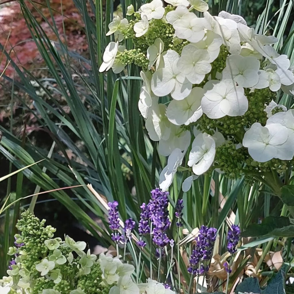 Screenshot_20250725_105530_Instagram