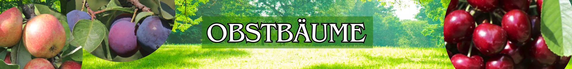 Obstbäume in verschiedenen Varianten.