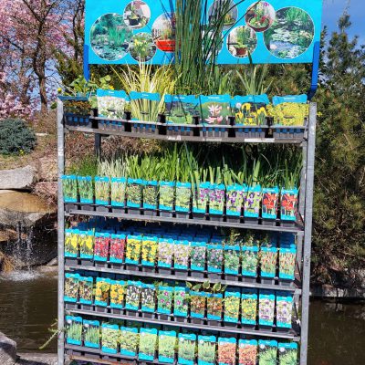 Ein Aussteller mit verschiedenen Wasserpflanzen.